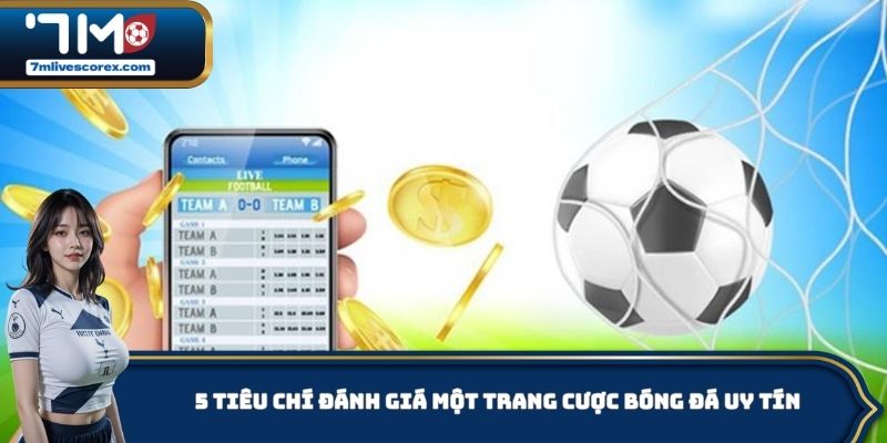  5 tiêu chí đánh giá một trang cược bóng đá uy tín