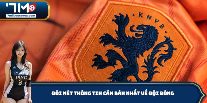 Đôi nét thông tin căn bản nhất về đội bóng