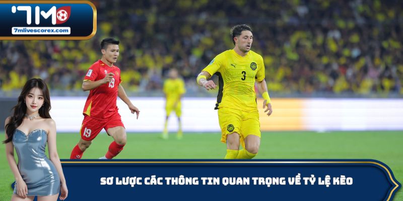 Sơ lược các thông tin quan trọng về tỷ lệ kèo